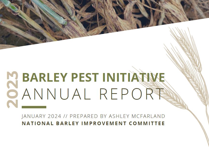 Barley Pest Initiative annual report released highlighting three years of progress